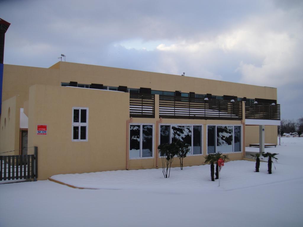 Geomunoreum Hostel Jeju Luaran gambar